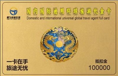 旅游代金券（100000）
